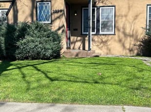 Jennifer H.'s Lawn Mowing service result