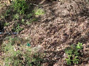 Leaf Removal by Metrius Lloyd for Julie R. in Fort Mill, SC