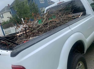 Cleanups by David Cardillo for Eduardo M. in East Providence, RI