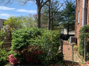 Bush Trimming by candelario castillo for Karen D. in Arlington, VA