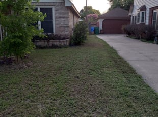 Bush Trimming by Acie White for Beth J. in Pflugerville, TX