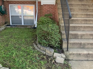 Bush Trimming by Aaron Thichangthong for Raleigh B. in Montclair, VA