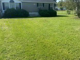 Dwight B.'s Lawn Service service result