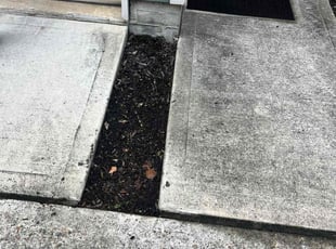 Weeding by Nancy Rodriguez for Thomas G. in Houston, TX