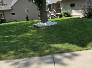 Lionel H.'s Lawn Mowing service result