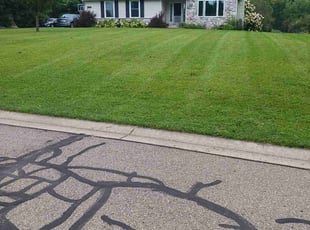 Hamilton D.'s Lawn Mowing service result