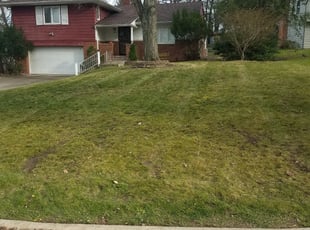 Leaf Removal by Justin Siggers for Anthony . in South Euclid, OH
