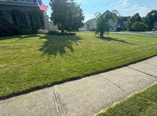 Melanie T.'s Lawn Service service result
