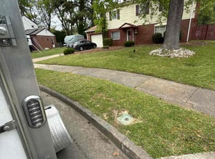 Samantha P.'s Lawn Mowing service result