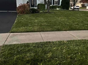 Leaf Removal by Jose Sanchez for Prashanth N. in Aurora, IL