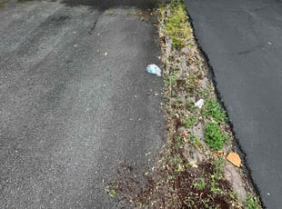 Mary T.'s Weed Pulling service result
