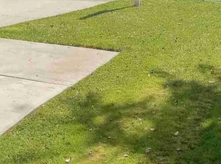 harold C.'s Lawn Maintenance service result