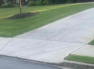 Shareeff P.'s Bush Trimming service result