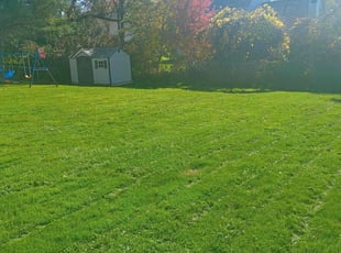Melissa H.'s Lawn Care service result
