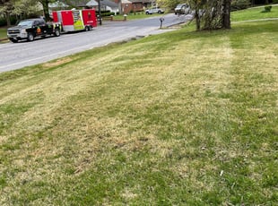 Leaf Removal by Carlos Portillo for Treyvon J. in Clinton, MD