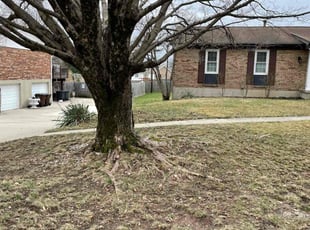 Leaf Removal by Julien Brunner for AJ P. in Independence, KY