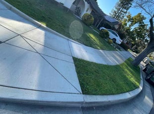 Asutosh T.'s Lawn Care service result