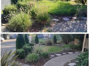 Weeding by Natasha Trusnik for Justine R. in Placerville, CA