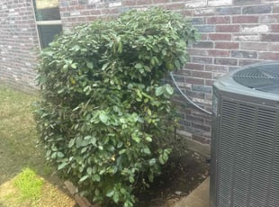 Bush Trimming by Jason Mince for Richard I. in Little Elm, TX