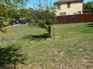Bush Trimming by Lacy Dixon for nicholas w. in San Antonio, TX