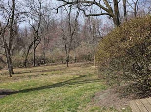 Cleanups by Rose Valle for Samantha S. in Fairfax, VA