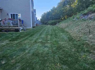 Samantha V.'s Yard Cutting service result