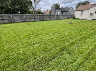 David J.'s Lawn Mowing Service service result