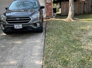 Bush Trimming by Ana Zelaya for Miriam R. in Pearland, TX