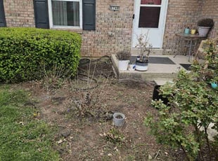 Weeding by Nicholas Weber for Johanna C. in West Chester Township, OH