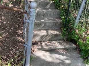 Leaf Removal by Devin Henderson for Stephanie S. in Washington, D.C., DC