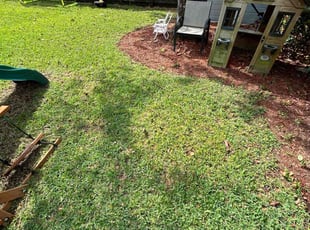 Leaf Removal by Jace Major for Sam B. in Fort Lauderdale, FL