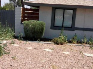 Bush Trimming by Sergio Laurean for Allen h. in Mesa, AZ