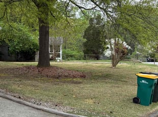 Leaf Removal by Daniel Burse for Chloe H. in Marietta, GA
