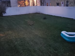 Leaf Removal by Shane Chabot for Marie alta N. in Worcester, MA