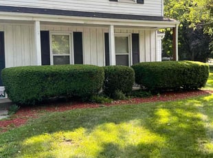 Elizabeth N.'s Bush Trimming service result