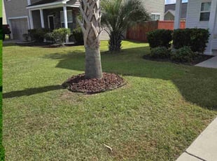 James524369000097 W.'s Lawn Service service result