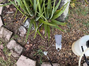 Weeding by Marcus Major for Lindsey B. in Margate, FL