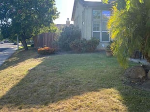 Bush Trimming by Michael Ruiloba for Marlene Y. in Stockton, CA