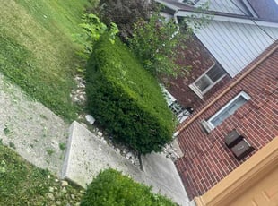 Bush Trimming by James Abernathy for Cheri C. in Cincinnati, OH