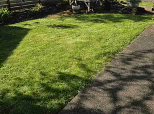 Leaf Removal by Khyle Dixon for Jennifer S. in Vancouver, WA