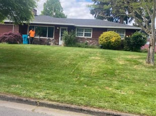 Cleanups by Travis Thompson for Laurel G. in Vancouver, WA
