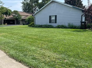 Cleanups by Phillip Kukla for Kristian M. in Lake Zurich, IL