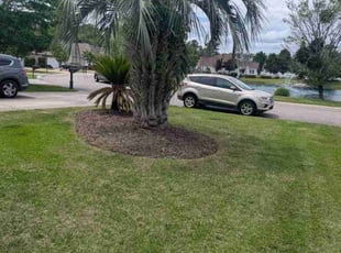 Marcy B.'s Lawn Mowing service result