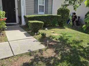 Bush Trimming by Green Juniper for Ryan P. in Raleigh, NC