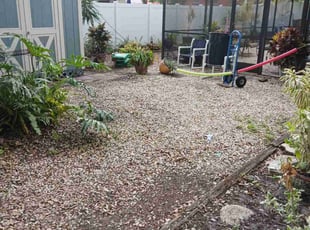 Leaf Removal by Robert Doolan for Juanita J. in Brandon, FL