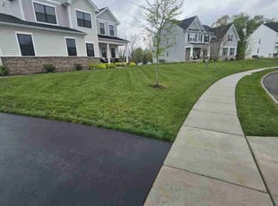Kenneth P.'s Lawn Mowing Service service result