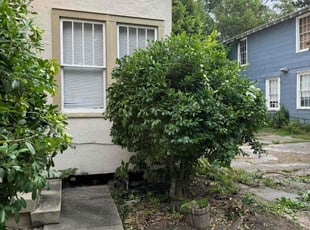 Bush Trimming by Marcus Simon for Rahim S. in Baton Rouge, LA