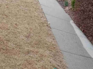 Cleanups by Casey Hammond for Mitch C. in Buford, GA
