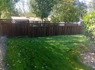 Bush Trimming by Stacie Jackson for Robert O. in University Place, WA