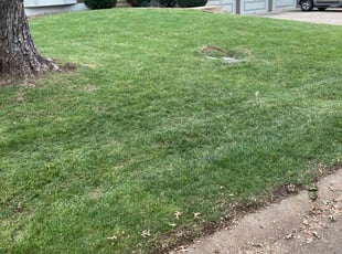 Leaf Removal by Tim Kirkpatrick for Thomas J. in Lee's Summit, MO